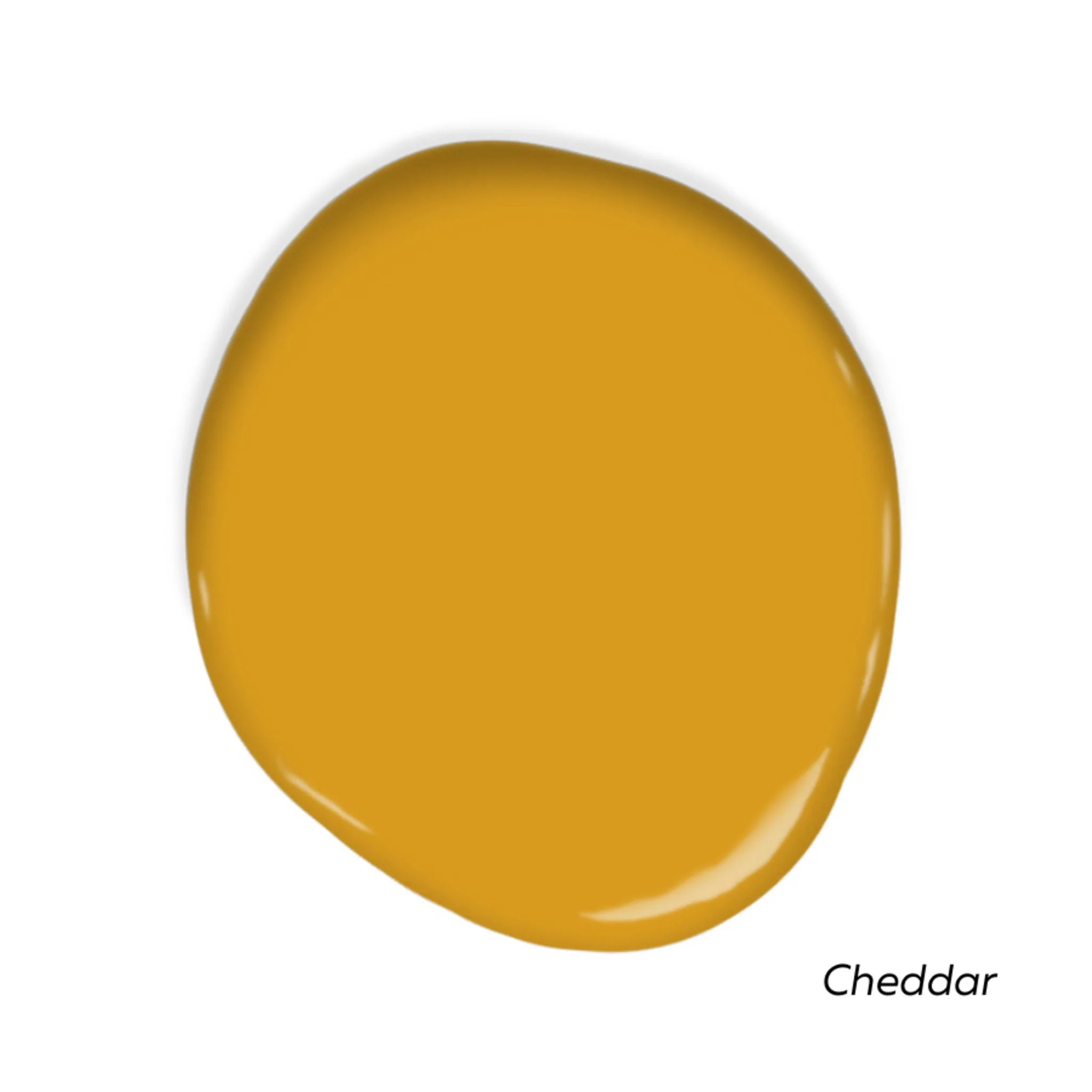 Front Door Palette Swatch Pack - Image 2