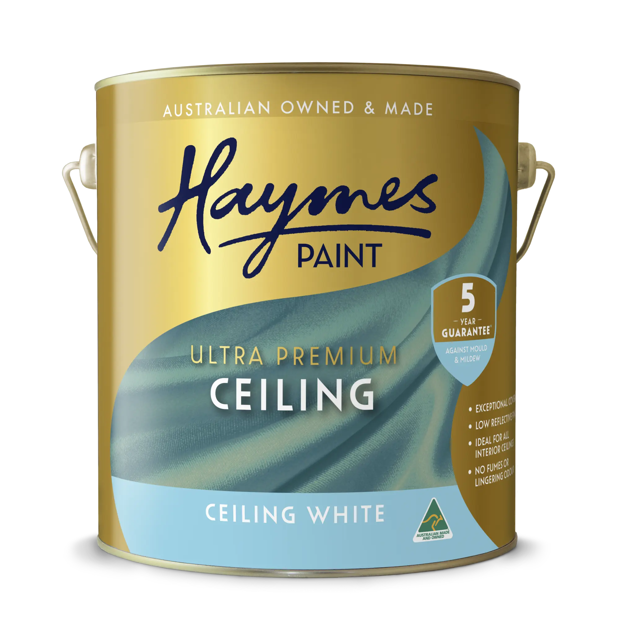Interior Ceiling Flat